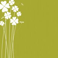 Clovers N2