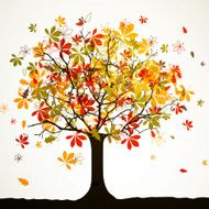 vector autumn background N14