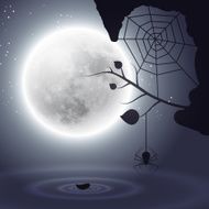 Halloween background with moon and spider