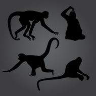 monkey shadows silhouette set eps10
