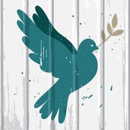 Dove on wood background