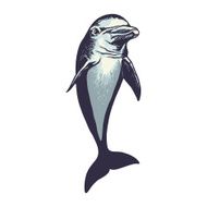 dolfin N4