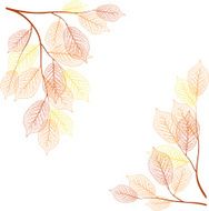 Autumn Branches N6
