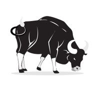 Buffalo N17