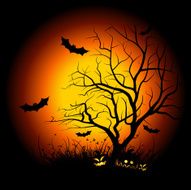 Halloween Night N59