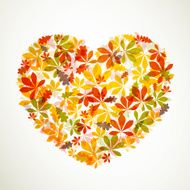 Vector autumn leaves N23