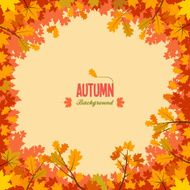 Autumn background with leaves N48