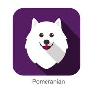 Pomeranian dog face portrait flat icon design