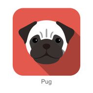 Pug dog face portrait flat icon design N2