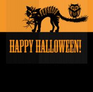 Scary halloween with cat owl and spider