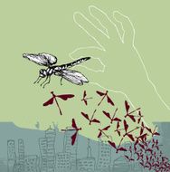 Dragonfly Pinch