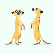 Meerkat N6