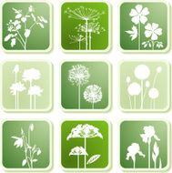 Garden plants icons II