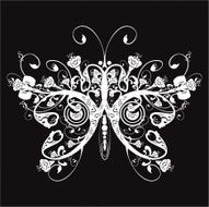 floral butterfly N4