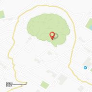 Brain shape parc on GPS map