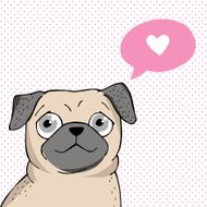 Pug N7