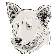 Head muzzle dog Shepherd Sketch drawing Black contour white background