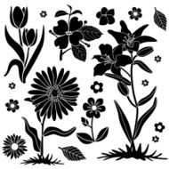 spring flowers N39