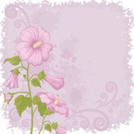 Holiday background with mallow flowers