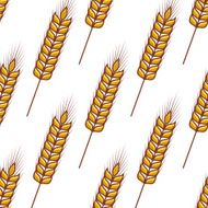 Seamless pattern of ears golden wheat