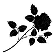 Rose flower silhouettes N2
