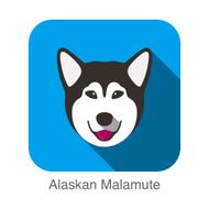 Alaskan Malamute Dog face portrait flat icon design N2