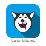 Alaskan Malamute Dog face portrait flat icon design N3