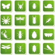 Insect Icons N2