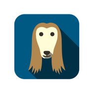 Afghan Hound animal face ui flat design