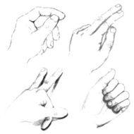 Human hands black &amp; white pencil sketch