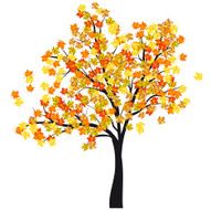 Autumn Maple Tree N7