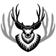decurated deer head isolated
