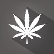 Cannabis leaf icon silhouette symbol Vector N6