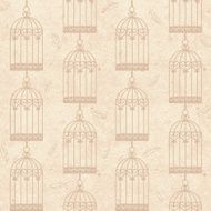birdcages and feathers N2