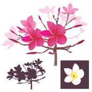 Tropical Flower-Design Elements
