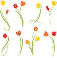 Tulips N27
