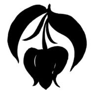 decorative silhouette soursop bud