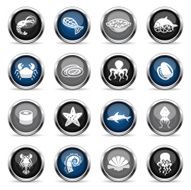 Supergloss Icons - Seafood