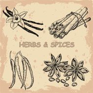 Herbs And Spices N2