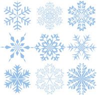 Snowflakes N113