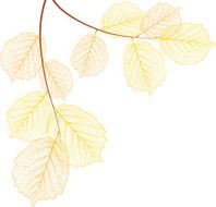Hazel autumn leaves
