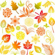 Fall set N2
