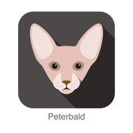 Peterbald Cat Cat breed face cartoon flat icon design N2