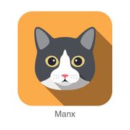 Manx Cat Cat breed face cartoon flat icon design