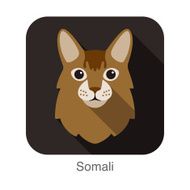 Somali Cat Cat breed face cartoon flat icon design