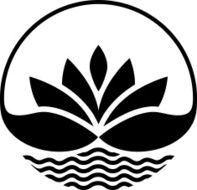 Lotus in the water