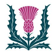 Simple Stencil Style Scottish Thistle Vector Illustraion Isolated on White