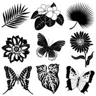 tropical plants and butterflies