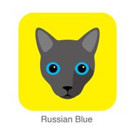 Russian Blue Cat breed face cartoon flat icon design