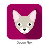 Devon Rex Cat breed face cartoon flat icon design